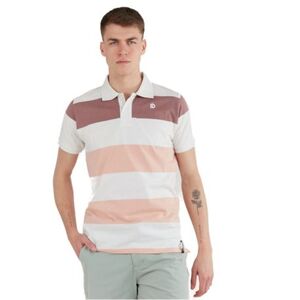 Pánské polo tričko s krátkým rukávem FUNDANGO-Incognito Stripe Poloshirt-311-powder stripe obraz
