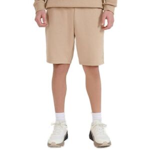 Pánské teplákové kraťasy 4F-SHORTS CAS M571-83S-BEIGE obraz