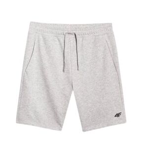 Pánské teplákové kraťasy 4F-SHORTS CAS M543-27M-COLD LIGHT GREY MELANGE obraz