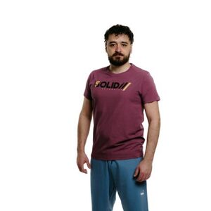 Pánské tričko s krátkým rukávem AUTHORITY-T-SOLID M burgundy obraz