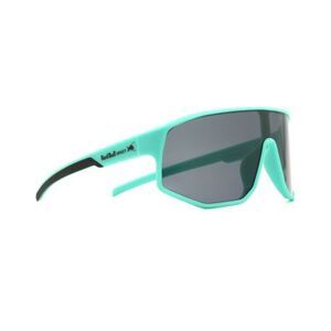 Sluneční brýle RED BULL SPECT-DASH-007, turquoise/smoke, CAT 3 obraz