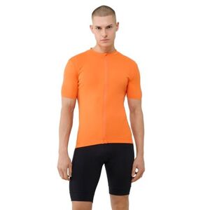 Pánské tréninkové tričko s krátkým rukávem 4F-TSHIRT FNK M1285-70S-ORANGE obraz