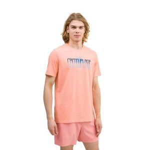 Pánské tričko s krátkým rukávem 4F-TSHIRT-WSS24TTSHM1288-70S-ORANGE obraz