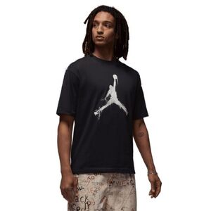Pánské tričko s krátkým rukávem NIKE-JORDAN M BRK COL JUMPMAN SS CREW obraz