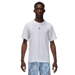 Pánské tričko s krátkým rukávem NIKE-JORDAN M J DF SPRT SS TOP obraz