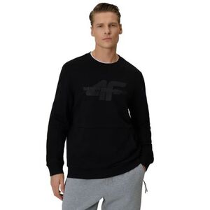 4F PÁNSKÁ MIKINA - Pánská mikina obraz