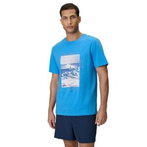 Pánské tričko s krátkým rukávem 4F-TSHIRT M2783-33S-BLUE obraz