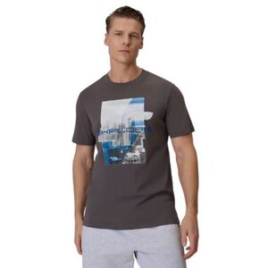 Pánské tričko s krátkým rukávem 4F-TSHIRT M2660-24S-MIDDLE GREY obraz
