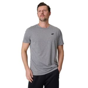Pánské tréninkové tričko s krátkým rukávem 4F-TSHIRT FNK M2140-25M-GREY MELANGE obraz