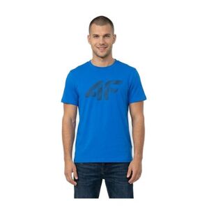 Pánské tričko s krátkým rukávem 4F-TSHIRT M3342-33S-BLUE obraz