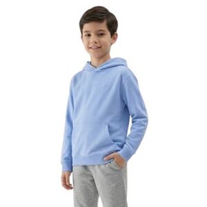 Chlapecká mikina s kapucí 4F JUNIOR-SWEATSHIRT M2325-33S-BLUE obraz