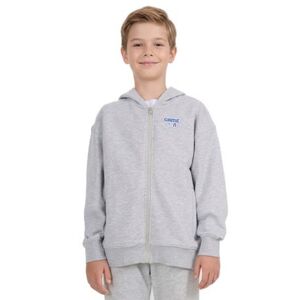 Chlapecká mikina se zipem 4F JUNIOR-SWEATSHIRT M2326-25M-GREY MELANGE obraz