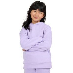 Dívčí mikina s kapucí 4F JUNIOR-SWEATSHIRT F2323-51S-VIOLET obraz