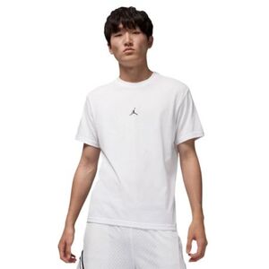 Pánské tričko s krátkým rukávem NIKE-M JORDAN DF SPRT JUMPMAN SS CREW-100 WHITE/BLACK obraz