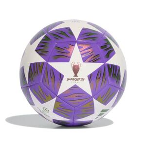 Fotbalový míč ADIDAS-UCL TRN F PANTON/WHITE obraz