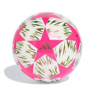Fotbalový míč ADIDAS-UCL CLB F TESHPK/WHITE obraz