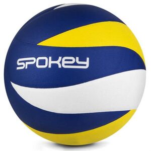 Volejbalový míč SPOKEY-BUMP obraz