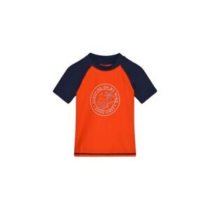 Chlapecké tričko na koupání COLOR KIDS-T-shirt W. Print-Grenadine obraz