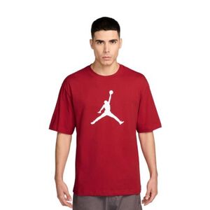 Pánské tričko s krátkým rukávem NIKE-JORDAN JUMPMAN SS HBR TEE 2 GYRED/WHITE obraz
