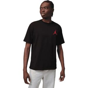 Pánské tričko s krátkým rukávem NIKE-JORDAN JUMPMAN SS LBR TEE 2 BLACK/GYRED obraz