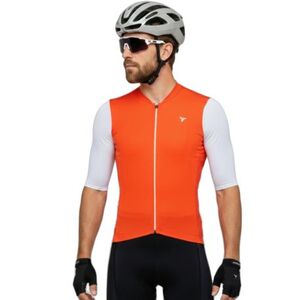 Pánský cyklistický dres s krátkým rukávem SILVINI-Auronzo obraz