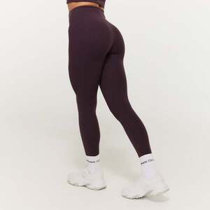 GymBeam Dámské legíny BEAT Berrywood obraz