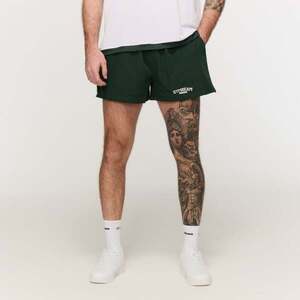GymBeam Sportovní šortky Varsity Green obraz
