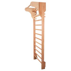 Žebřiny s hrazdou inSPORTline Dremar 250 x 90 cm obraz