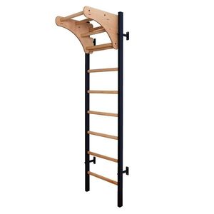 Žebřiny s hrazdou BenchK 211B 230x67 cm obraz