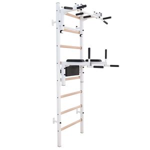 Žebřiny s hrazdou a bradly BenchK 232W 230x67 cm obraz