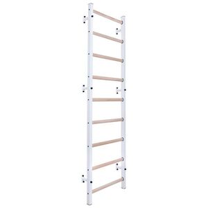 Žebřiny BenchK 700W 240x67 cm obraz
