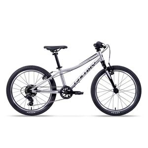 Odlehčené dětské kolo Galaxy Cetis Lite 20" 9.0 • 115-135 cm • 8, 3 kg 10" (115-135 cm) stříbrná obraz