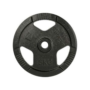 Litinový kotouč inSPORTline Hamerton Black 5 kg 30 mm obraz