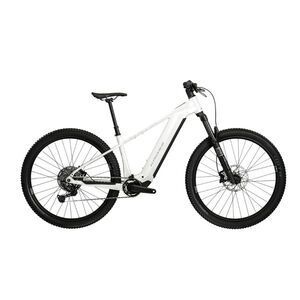 Horské elektrokolo Kross Dust Boost 1.0 29" - model 2026 • Avinox M2 motor • 24, 8 kg • dojezd až 180 km XL (18") bílá/stříbrná/lesk obraz