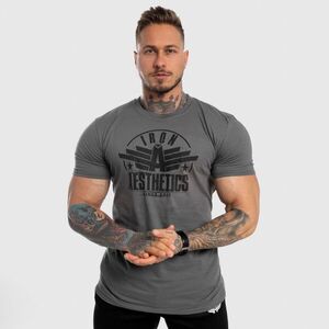Pánské fitness tričko Iron Aesthetics Force, šedé obraz