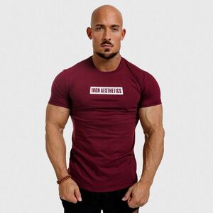 Pánské fitness tričko Iron Aesthetics Boxed, bordové obraz