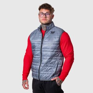 Pánská vesta Iron Aesthetics Bodywarmer, světle šedá obraz