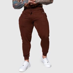 Pánské sportovní tepláky Iron Aesthetics Flexi, hnědé obraz