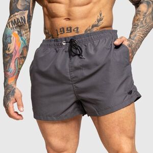 Pánské plavky Iron Aesthetics Beach Mode, šedé obraz