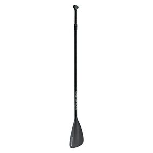 Pádlo pro paddleboard MASTER Fiber obraz