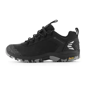 Alpine Pro SPIDERE obraz