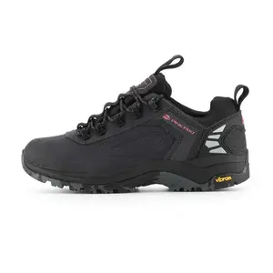 Alpine Pro SPIDERE obraz