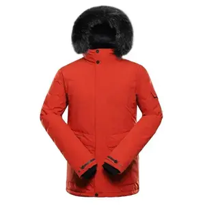 Alpine Pro WERD 2 obraz