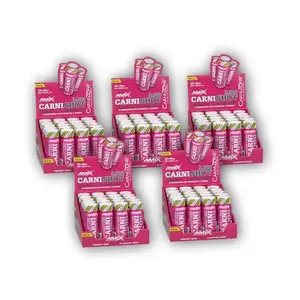 Amix 4x CarniShot 3000 20x60ml + 1x ZDARMA - Lemon obraz