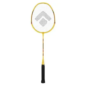 Artis Focus 30 badminton raketa obraz
