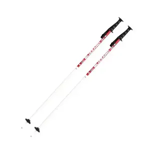 Blizzard Sjezdové hole RACE JUNIOR 70-90 cm - 75 obraz