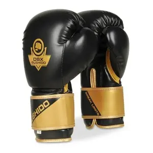 BUSHIDO Boxerské rukavice DBX B-2v10 - 10oz obraz