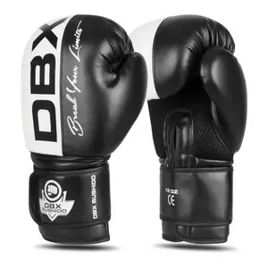BUSHIDO Boxerské rukavice DBX B-2v20 - 10oz obraz