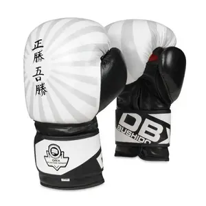 BUSHIDO Boxerské rukavice DBX B-2v8 - 10oz obraz