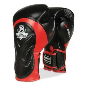 BUSHIDO Boxerské rukavice DBX BB4 - 10oz obraz